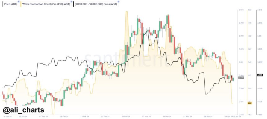 Cardano Price In Turmoil: Can Whales Drive ADA’s Resurrection From Recent Dump?