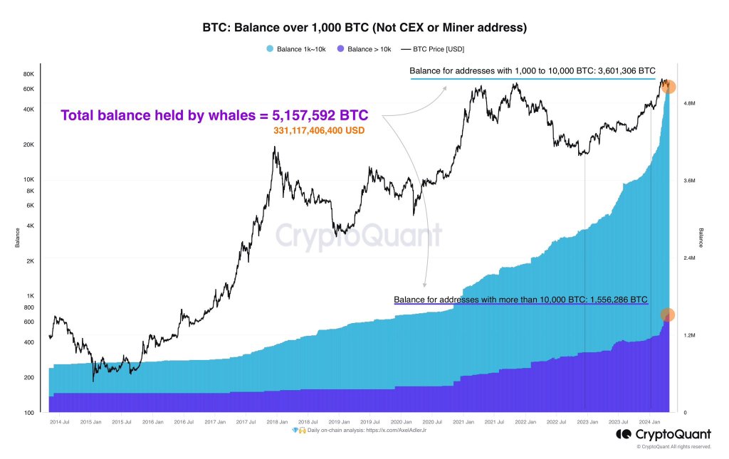 Bitcoin sob pressão, mas as baleias detêm mais de US$ 331 bilhões em BTC: um sinal para comprar?
