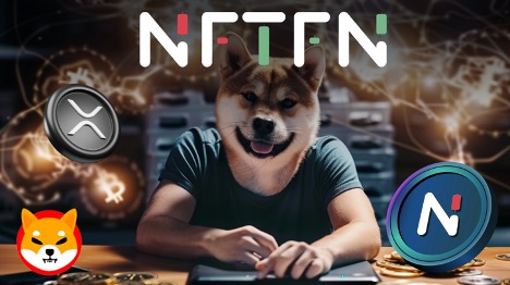 These 3 Coins Could 2X Amidst Bitcoin Halving Craze – Shiba Inu, XRP and NFTFN These 3 Coins Could 2X Amidst Bitcoin Halving Craze – Shiba Inu, XRP and NFTFN