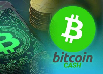 Ripple (XRP) and Bitcoin Cash (BCH) Traders Embrace Koala Coin (KLC) for a Plush Portfolio Transformation