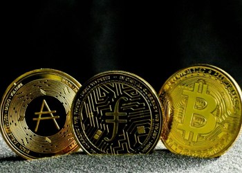 Fezoo Exchange Presale Gains Favor Among VeChain & Filecoin Investors Seeking Opportunities Amid Bitcoin Halving