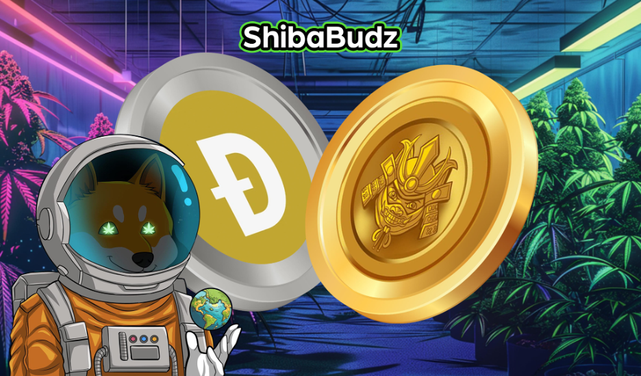 DOGE Price Volatility: Dogecoin Strategies for Risk Management, Investors Join New Doge-Like Meme For Portfolio Success