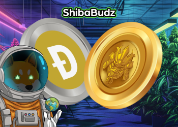 DOGE Price Volatility: Dogecoin Strategies for Risk Management, Investors Join New Doge-Like Meme For Portfolio Success