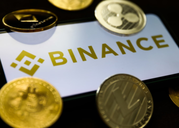 Bitcoin Cash & Dogecoin Holders Leverage Fezoo’s Presale for Potential Windfalls With the Exchange Tipped to Surge 30-Fold Against Competitors