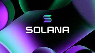 Solana Whales Are Making Moves – Here’s The Direction They’re Headed In