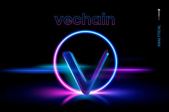 VeChain On The Edge: Insider Says VET Will Reach The Finish Line