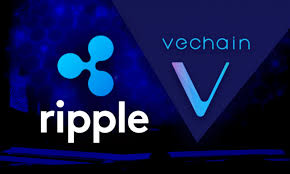 Analyst Singles Out VeChain And XRP For Parabolic Surge, Here Are The Targets