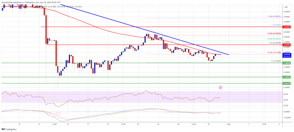 Predicción de precio XRP