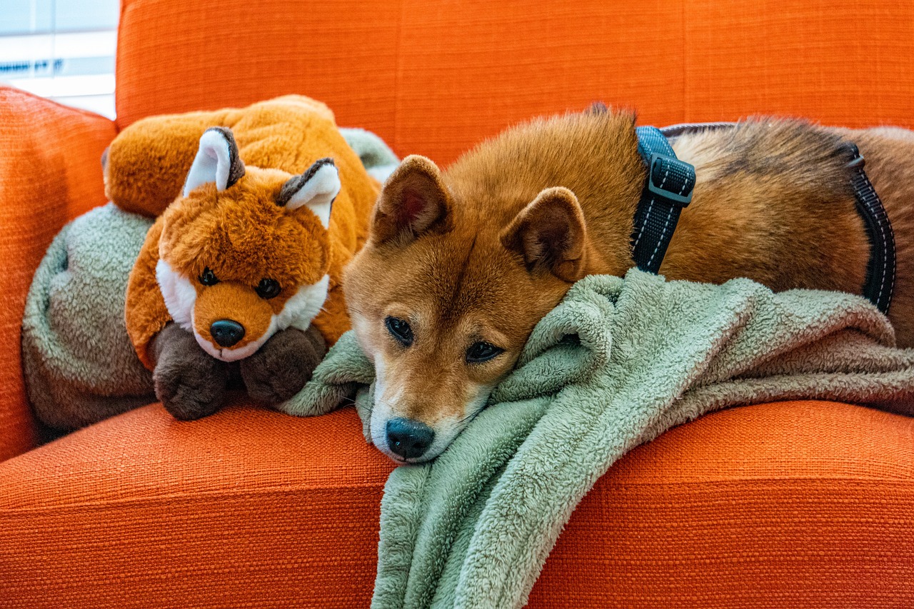 Shiba Inu Surpasses 4 Million Addresses, Ignites Frenzy