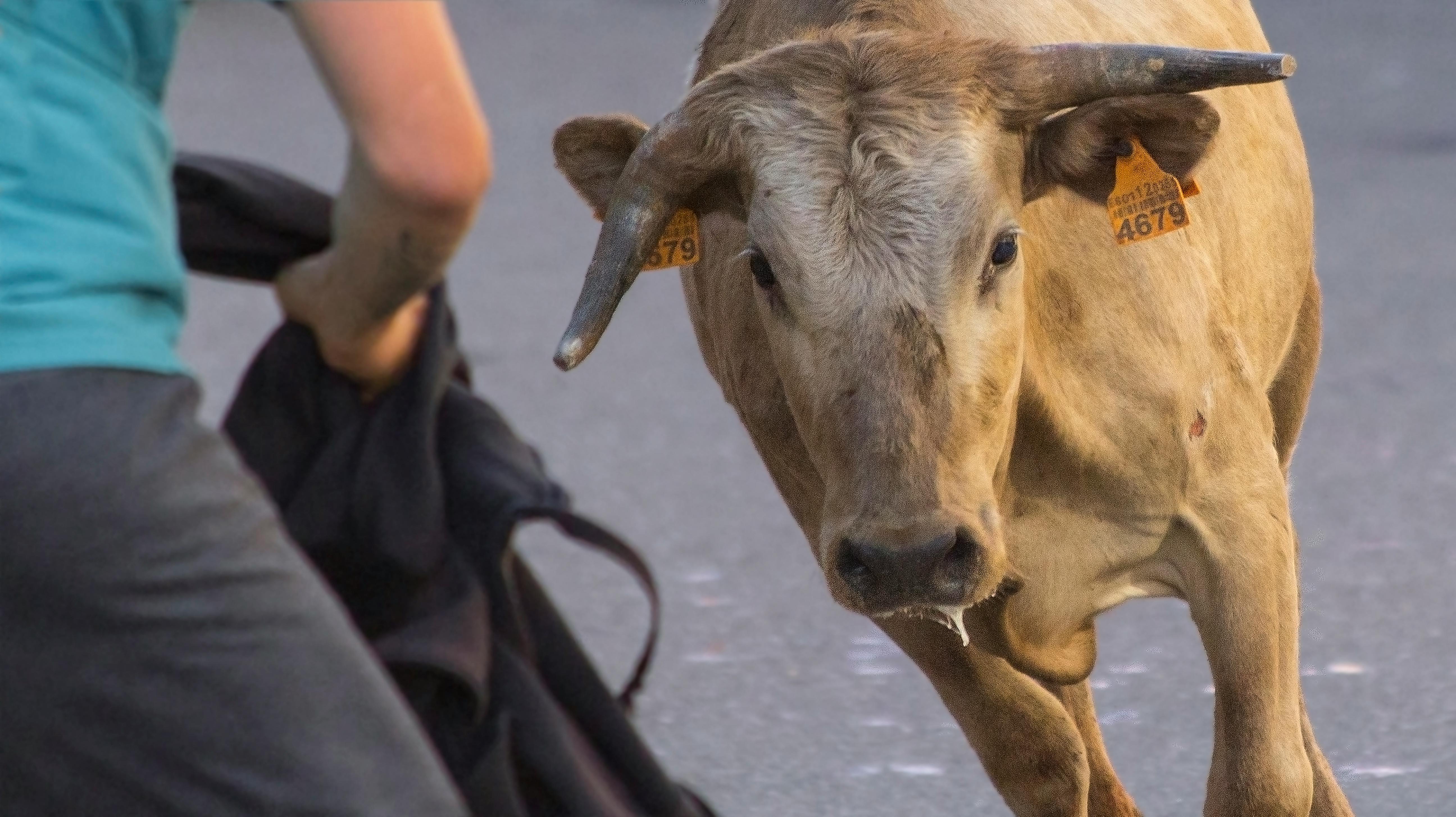 Bitcoin Raises Bull Flag, Formation Triggers Calls For $100,000