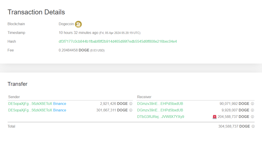 Dogecoin Whale Takes .3 Million In DOGE Off Binance, Sign Of Buying?