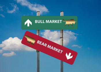 crypto bull run return