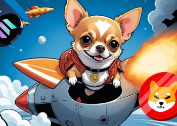 This Solana Meme Coin Will Explode ‘SHIB Style’, Says Crypto Trader Who Turned $50,000 into $7,000,000 During Shiba Inu’s 2021 Mania