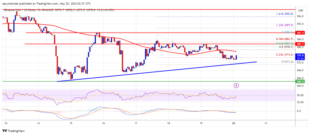 BNB Coin Price Hits Critical Support Level: Is a Rebound on the Horizon?