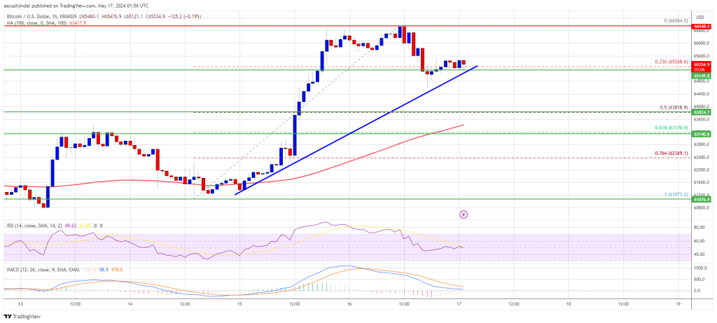 Bitcoin Price Consolidates Gains: Stability in the Crypto Market Amid Recent Surge