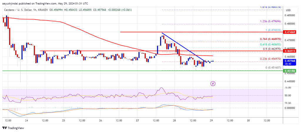 Can Cardano (ADA) Bounce Back? A Closer Look at Its Recovery Potential