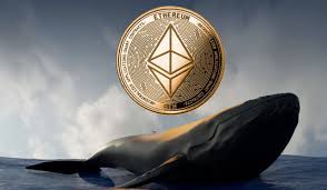 Ethereum whale