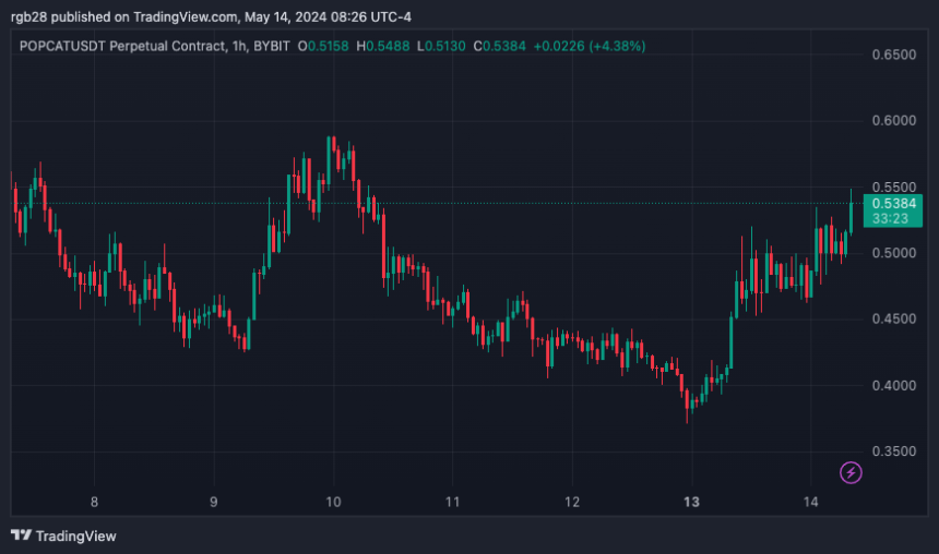 Memecoins、POPCAT、POPCATUDT