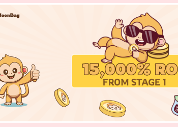 Is MoonBag Presale the New Profit Hype Train? Will it Outshine Shiba Inu and Binance?