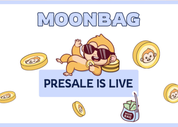 Cardano’s Market Troubles Floki Inu’s Stability Woes Moonbag Rises Above