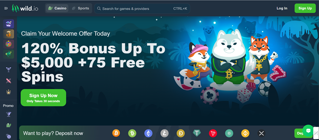 Wild.io online casino for real money