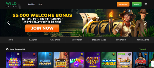 Wild casino homepage