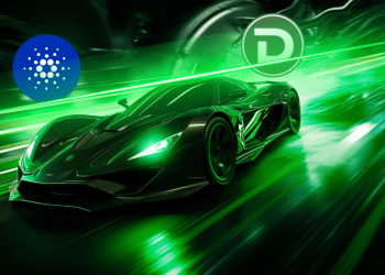 Floki Inu (FLOKI) Price Analysis: Bulls Accumulate DTX Exchange (DTX) As Shiba Inu (SHIB) Goes Downhill