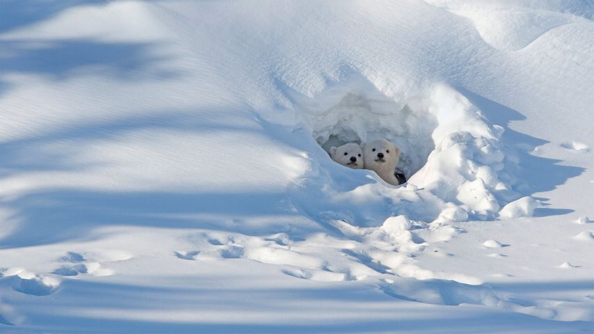Social Media Booms, But Price Stuck In The Bear Pit