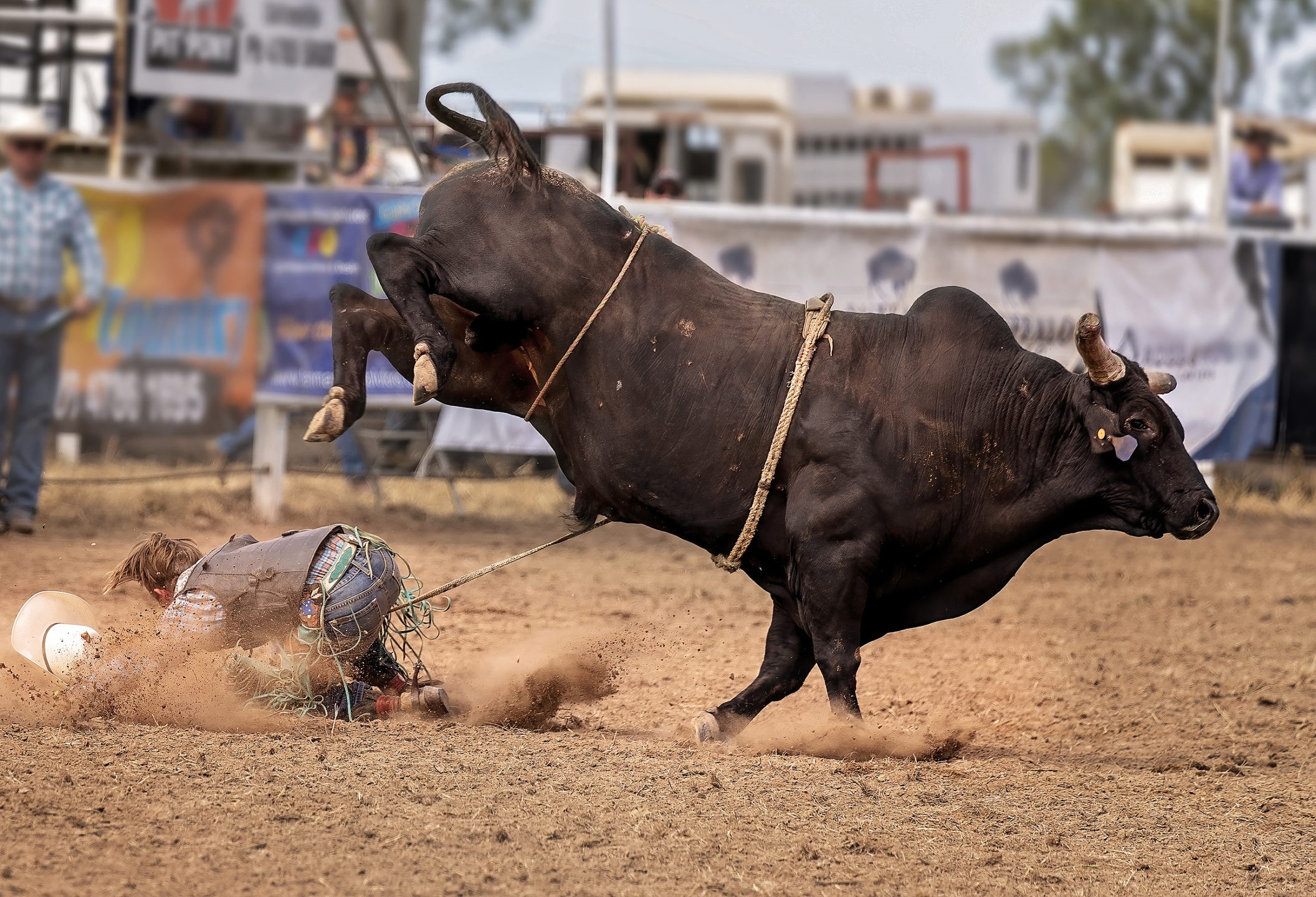 Cardano Breaks Past 200MA, Analyst ‘Insanely’ Bullish on ADA