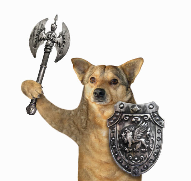 Floki Floats 22%, Aims For ‘World’s Most Used Crypto’ Title Floki Floats 22%, Aims For ‘World’s Most Used Crypto’ Title