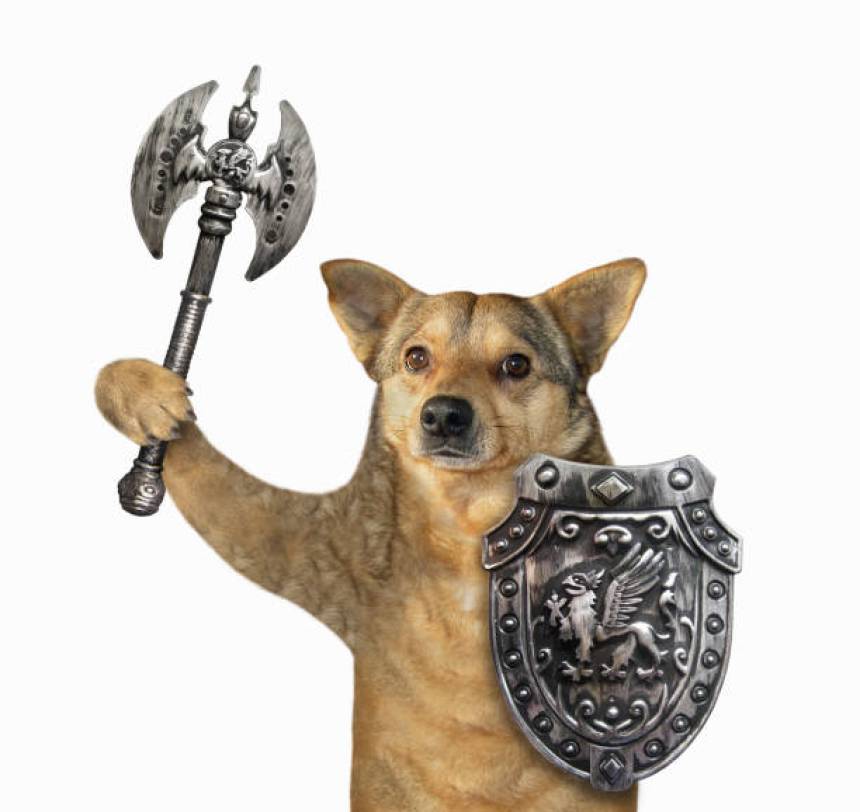 floki