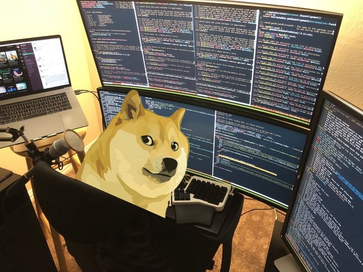 Dogecoin: One Metric Holds The Key To Its Next Rally