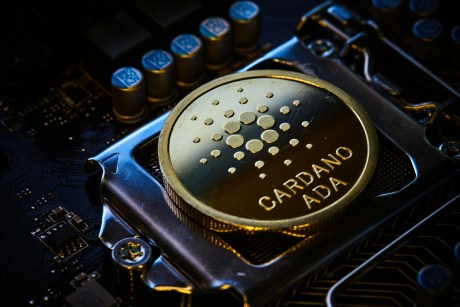 Cardano