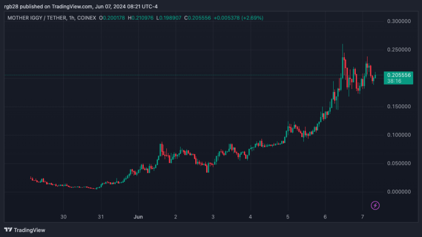 memecoins, mother, motherUSDT
