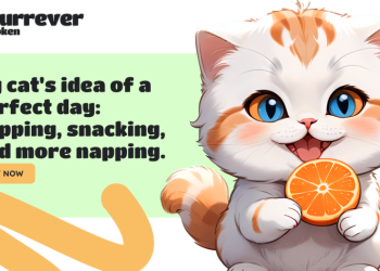 Investors Must Watch These Coins: Bitcoin, Ethereum, and Furrever Token with Innovative 10% Referral Bonuses