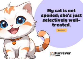 The Cryptocurrency You Shouldn’t Miss Next to Bitcoin and Ethereum: Furrever Token’s 25% Bonus