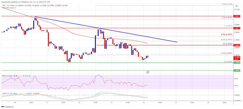 XRP price