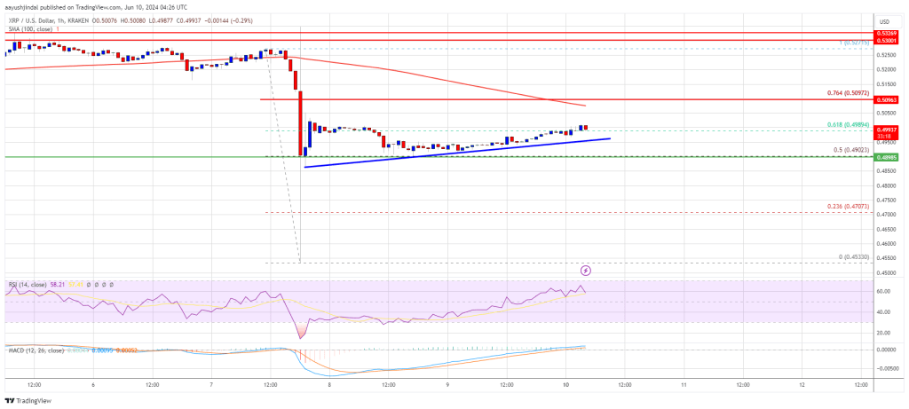 XRP price 
