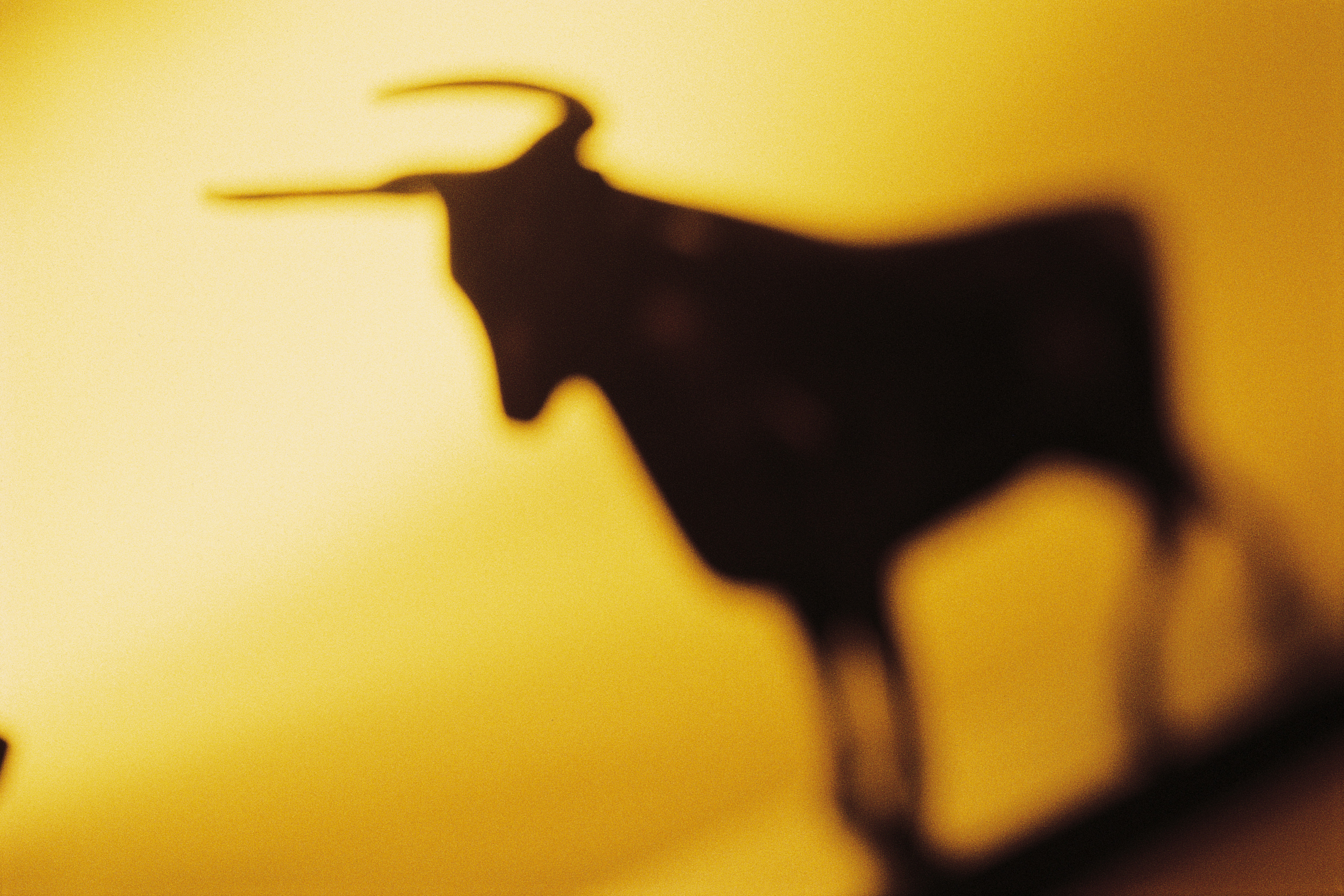 Polygon (MATIC) Turns Bullish After Losing Streak – Is A 1,000% Rally Possible From Here?