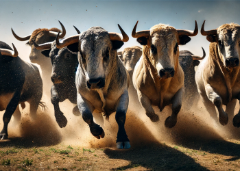 Solana price prediction this cycle