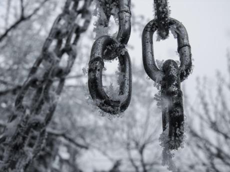 Bear Market Bites: Chainlink Loses 10%, Further Downturn To $6.80 Feared