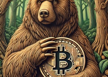Bitcoin bear