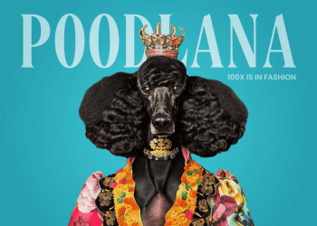 Jump Crypto Selloff Stokes Crypto Woes, But Poodlana Remains Strong