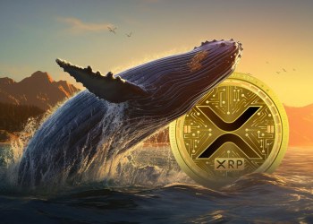 XRP whale