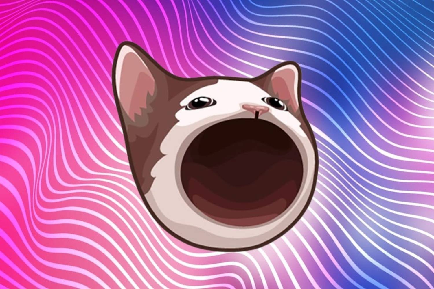 New Memecoin Popcat Claws Its Way Up, Dominates Top 100 Cryptos With 62% Rally