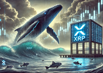 XRP Whale