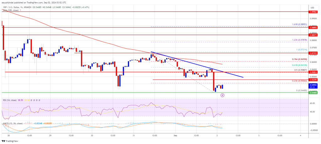 XRP Price Struggles: Can It Break Free from the Downtrend?