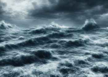 Stunning Fall From Grace: Cardano Suffers 90% Plunge In Market Share Since ’21