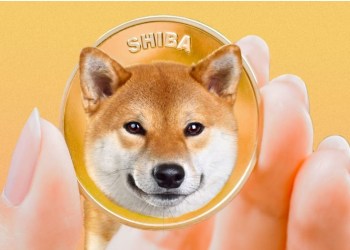 Shiba Inu