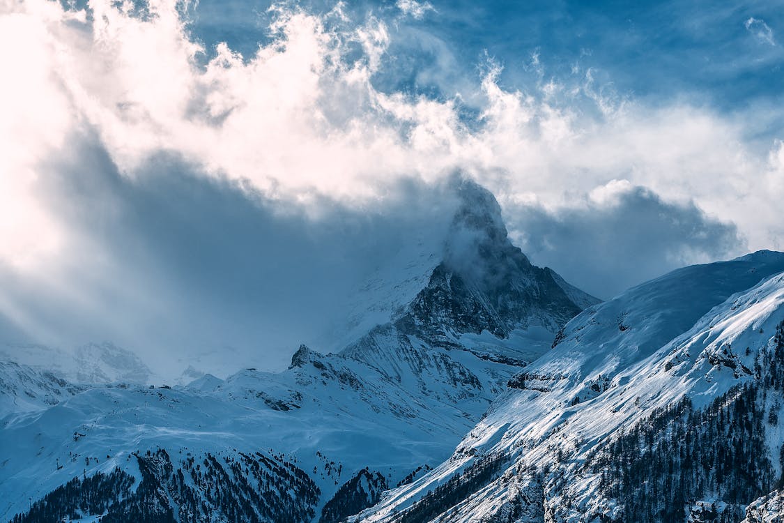 Avalanche (AVAX) Rallies On Fed Rate Cut, DeFi Growth Avalanche (AVAX) Rallies On Fed Rate Cut, DeFi Growth